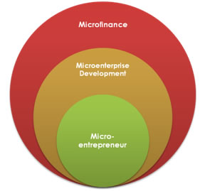 Microenterprise Development